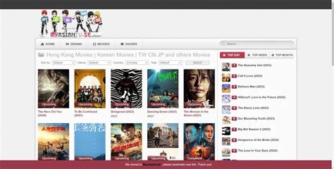 chinese movies torrent site.